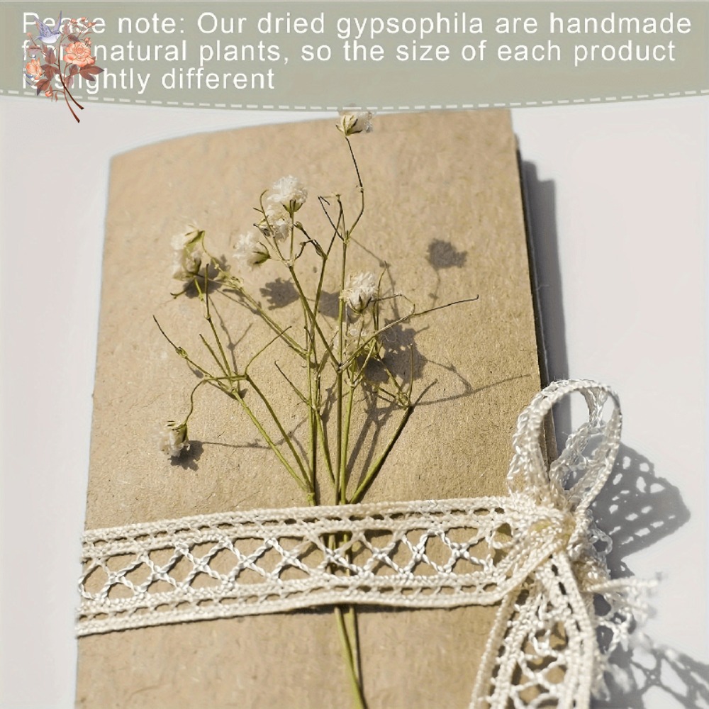 100pcs Bunga Baby's Breath Ker - Craft Embellishment ulasan dan harga